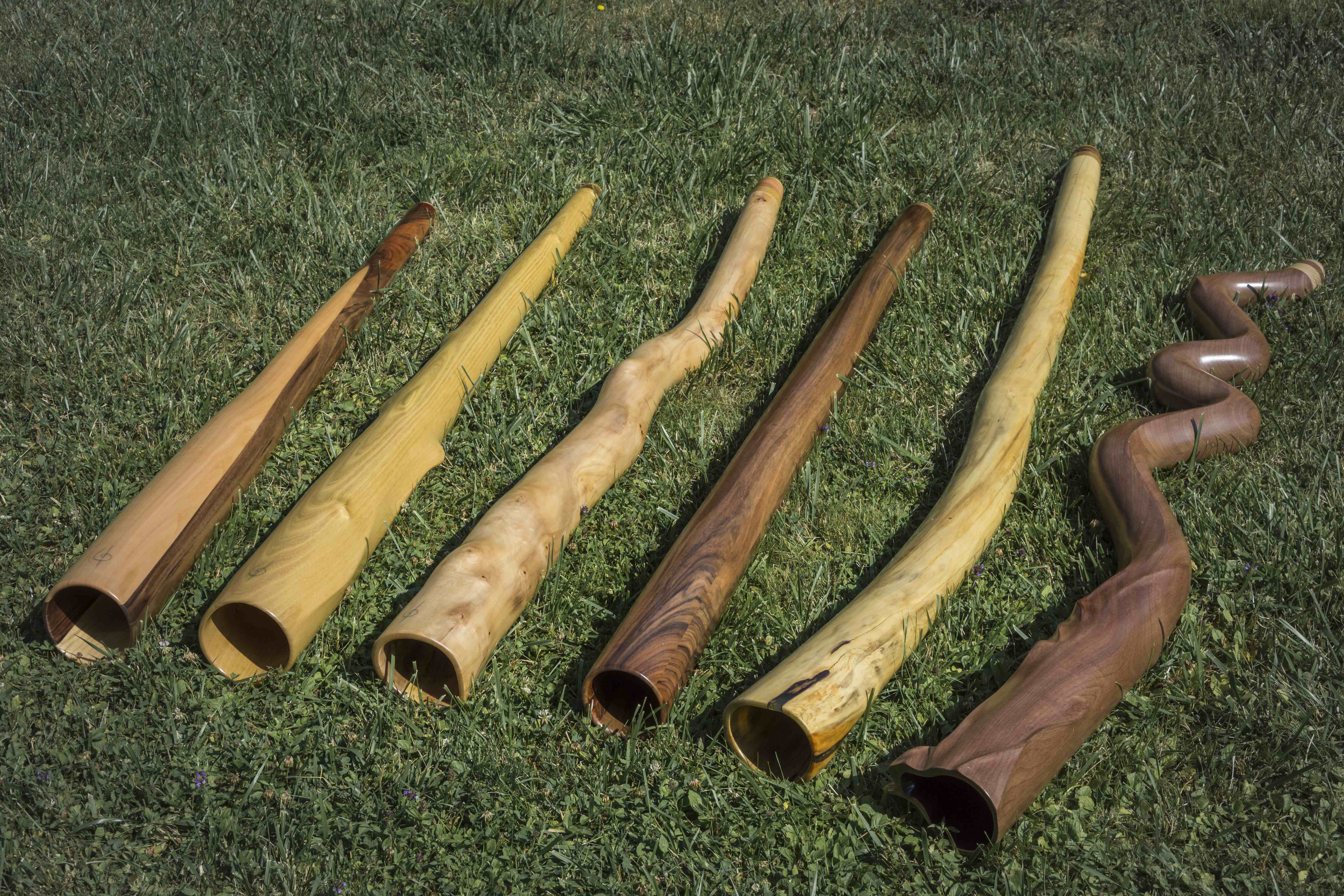 Nouveaux didgeridoos disponibles fin juin 2019. Cinq instruments d'essence diverses allant du Mi au La